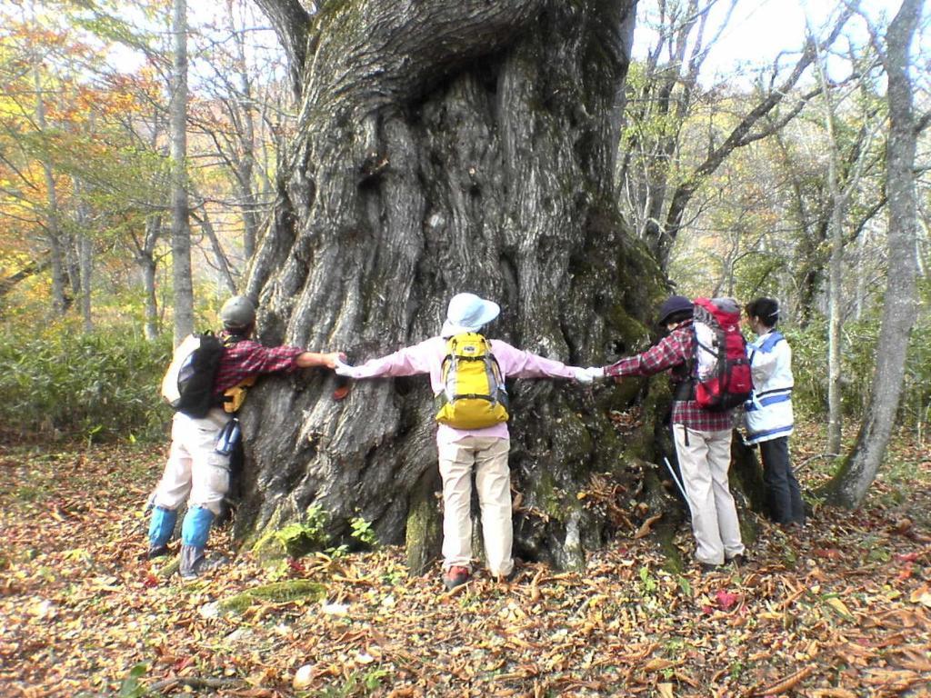 Pension Milky House Shinano  Esterno foto